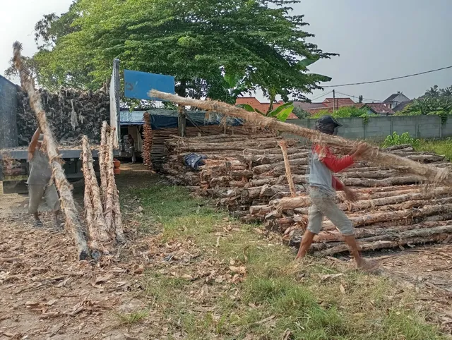 Pekerja memeriksa kayu dolken sebelum pengiriman