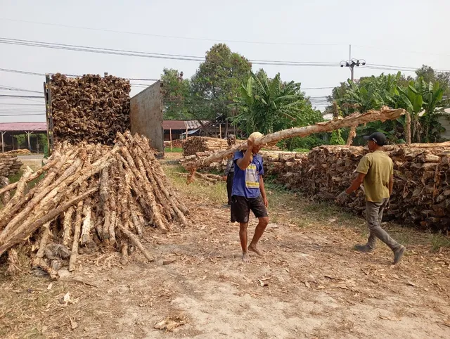 Bongkar muat kayu dolken untuk pengiriman pelanggan