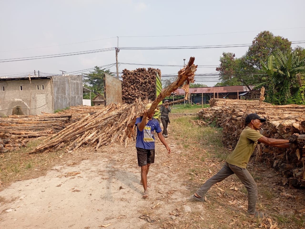 Bongkar muat kayu dolken gelam siap antar ke pelanggan di Anyer — foto 2