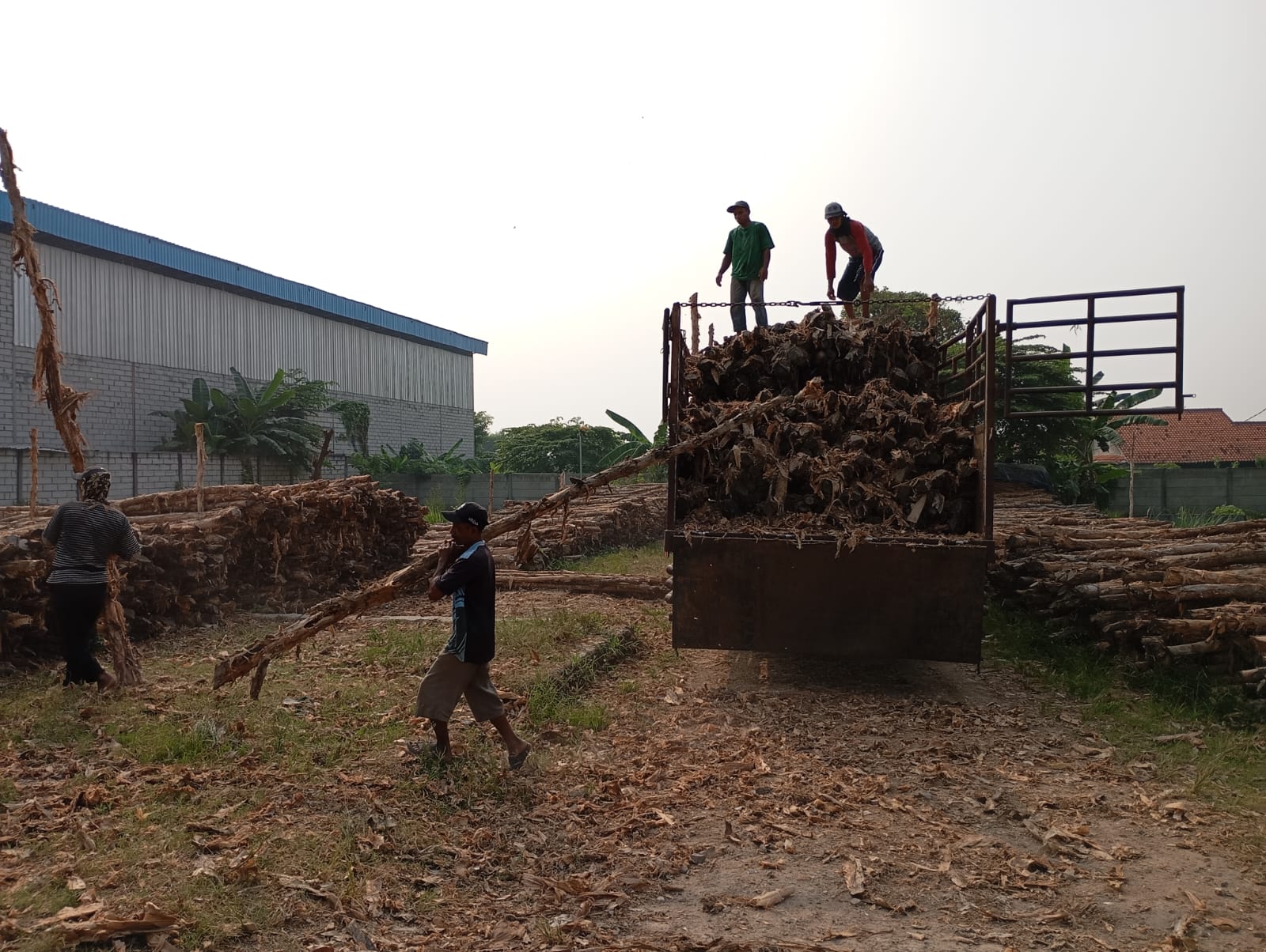 Bongkar muat kayu dolken gelam siap antar ke pelanggan di Balaraja — foto 2