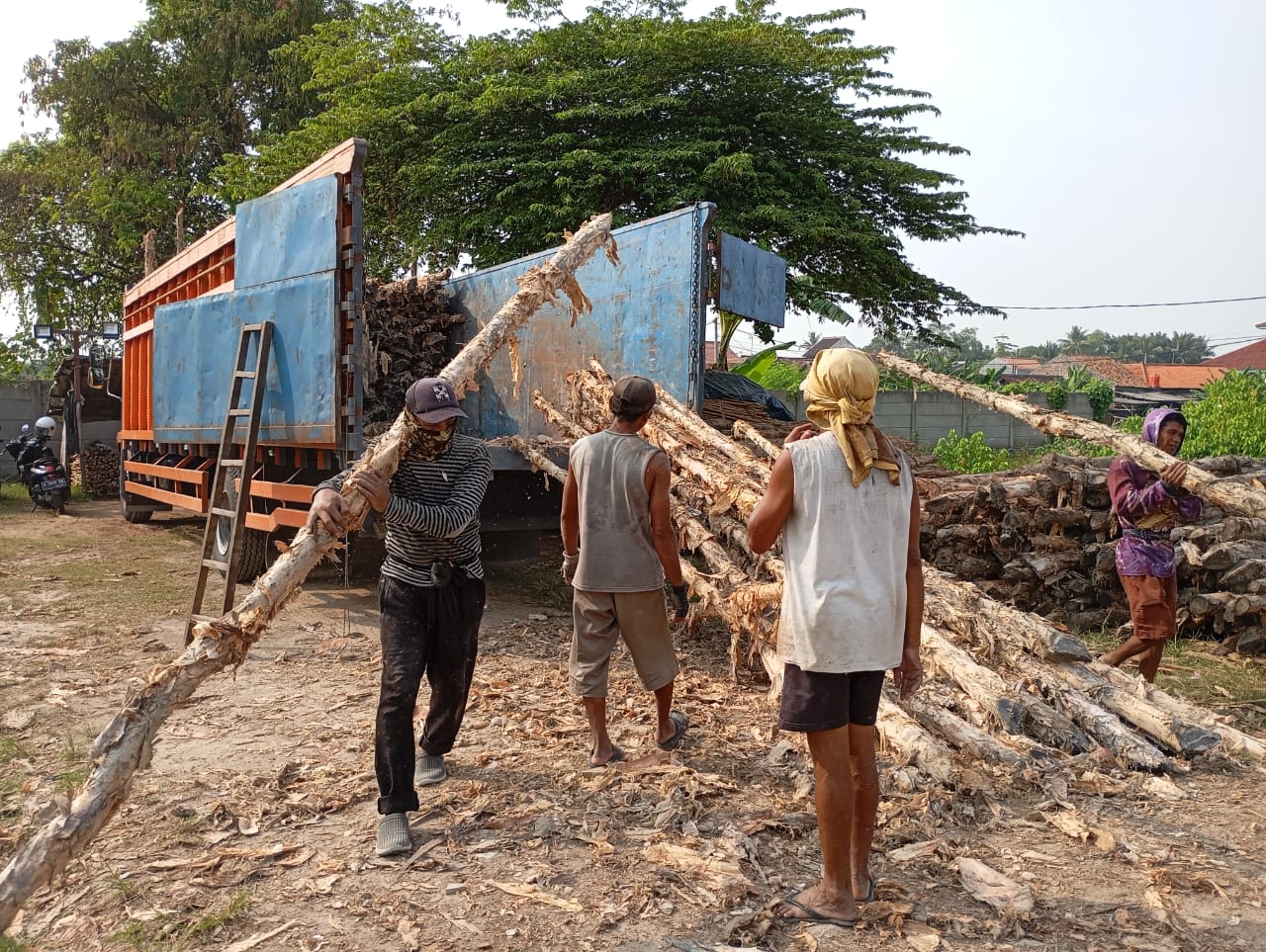 Bongkar muat kayu dolken gelam siap antar ke pelanggan di Batang — foto 1