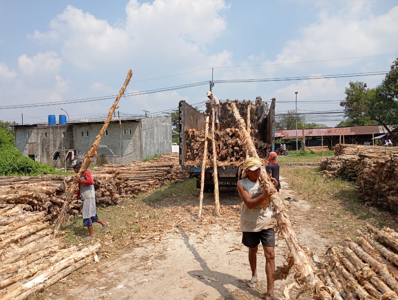 Bongkar muat kayu dolken gelam siap antar ke pelanggan di Bone — foto 1
