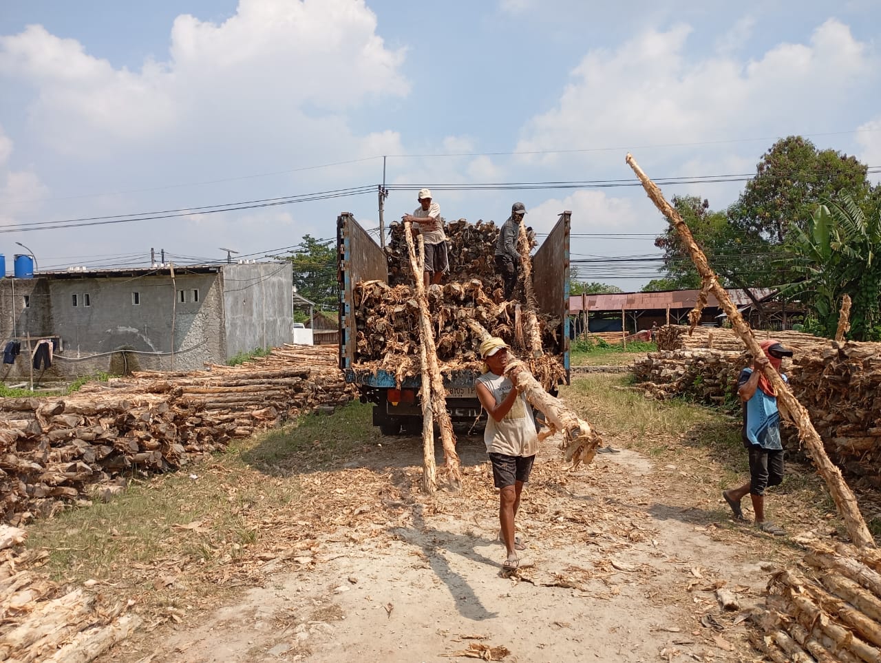 Bongkar muat kayu dolken gelam siap antar ke pelanggan di Bone — foto 2