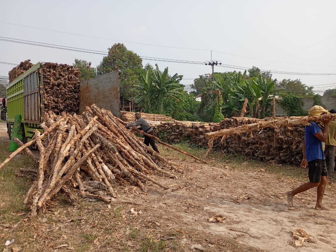 Bongkar muat kayu dolken gelam siap antar ke pelanggan di Buton — foto 1
