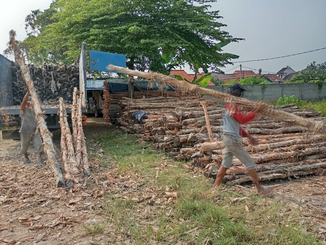 Bongkar muat kayu dolken gelam siap antar ke pelanggan di Ciamis — foto 1