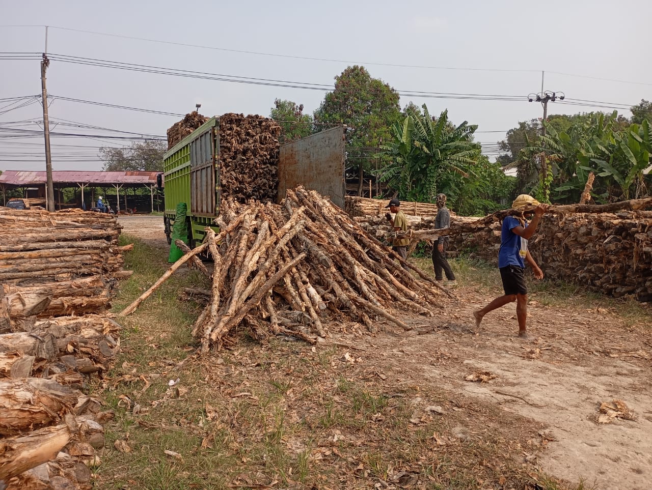 Bongkar muat kayu dolken gelam siap antar ke pelanggan di Ciamis — foto 2