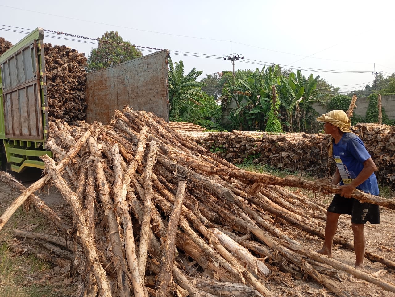 Bongkar muat kayu dolken gelam siap antar ke pelanggan di Cikarang — foto 2