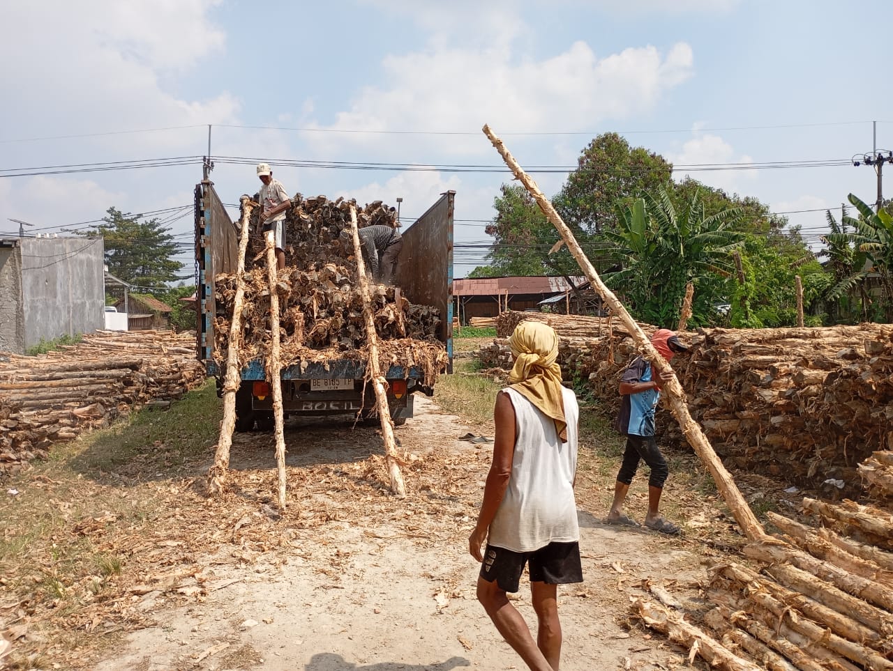 Bongkar muat kayu dolken gelam siap antar ke pelanggan di Cilegon — foto 2