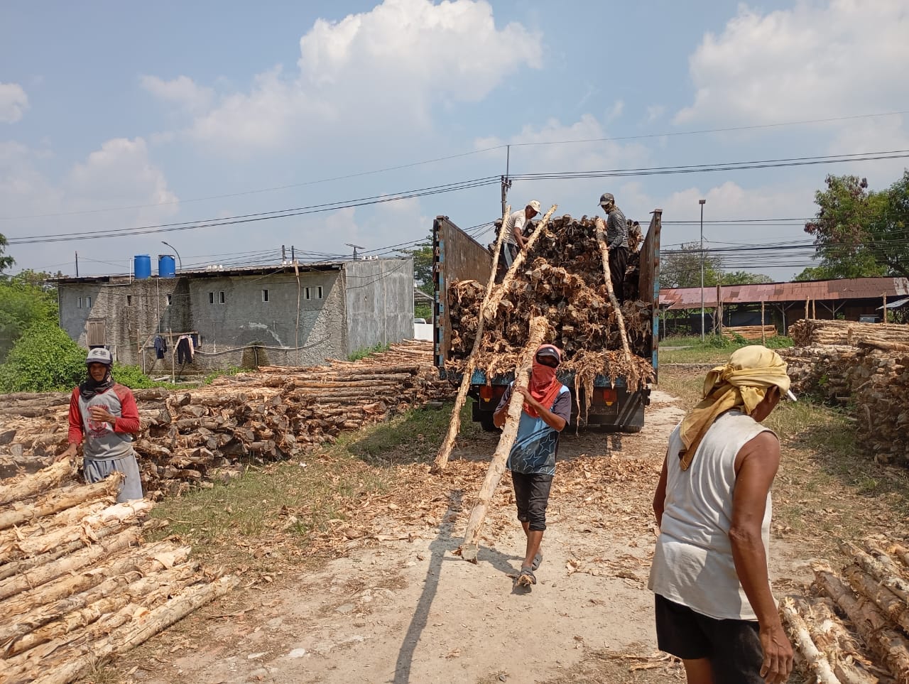 Bongkar muat kayu dolken gelam siap antar ke pelanggan di Ciomas — foto 1