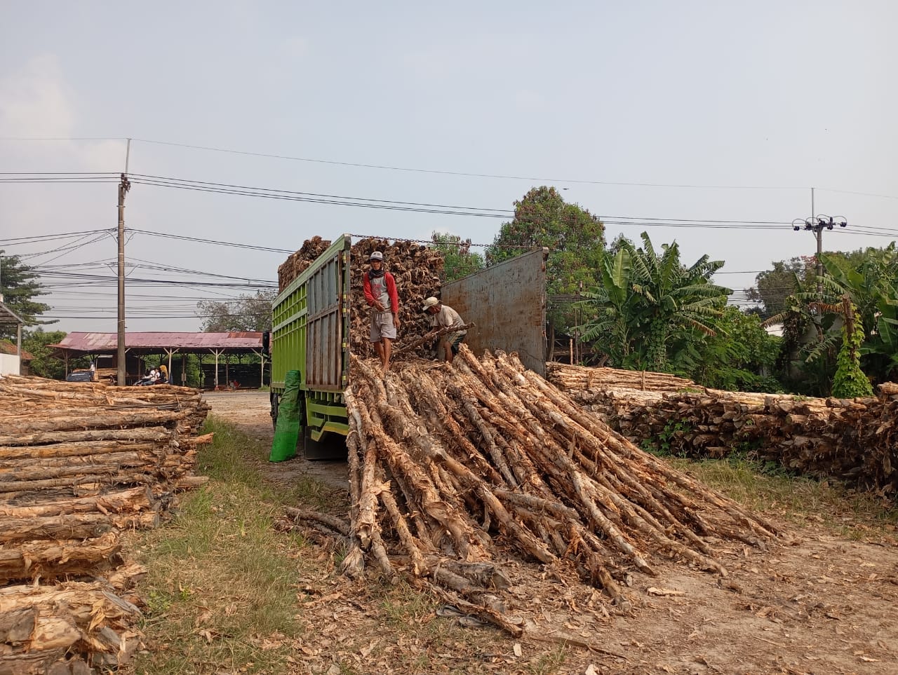 Bongkar muat kayu dolken gelam siap antar ke pelanggan di Cirebon — foto 1