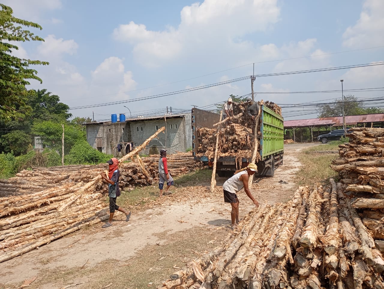 Bongkar muat kayu dolken gelam siap antar ke pelanggan di Gowa — foto 1