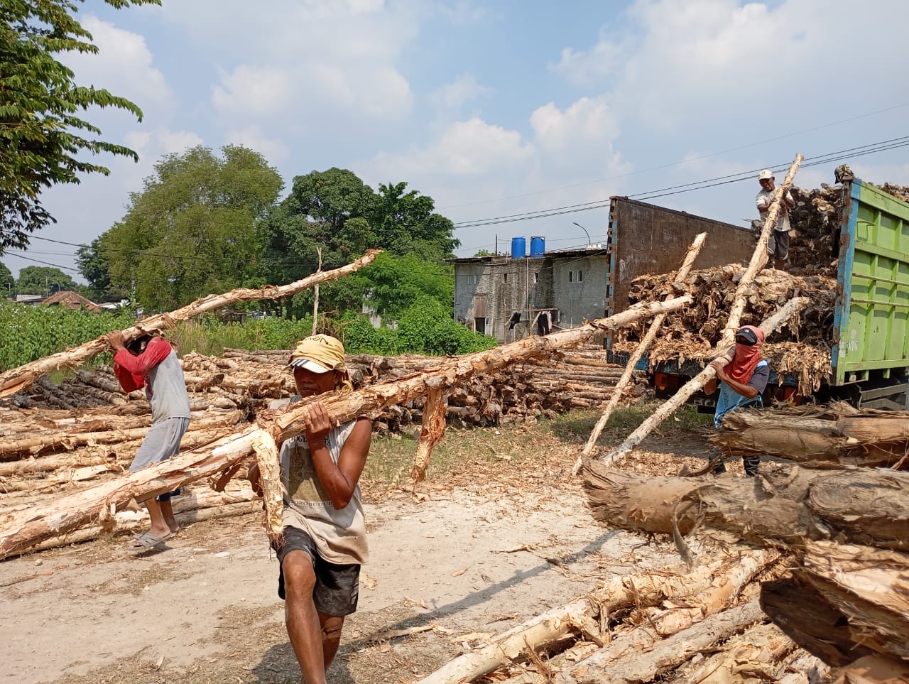 Bongkar muat kayu dolken gelam siap antar ke pelanggan di Gowa — foto 2