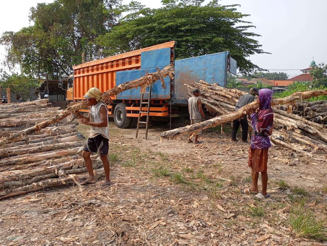 Bongkar muat kayu dolken gelam siap antar ke pelanggan di Kebumen — foto 1