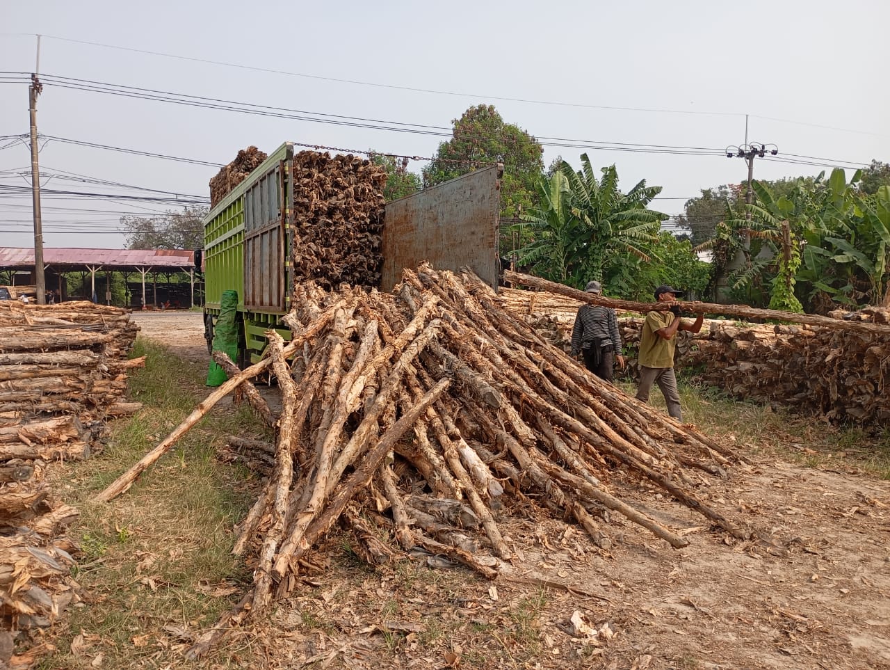 Bongkar muat kayu dolken gelam siap antar ke pelanggan di Kebumen — foto 2