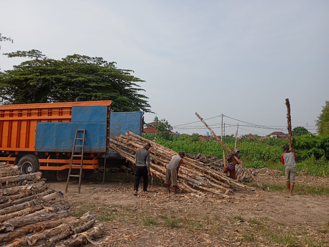 Bongkar muat kayu dolken gelam siap antar ke pelanggan di Kendari — foto 2