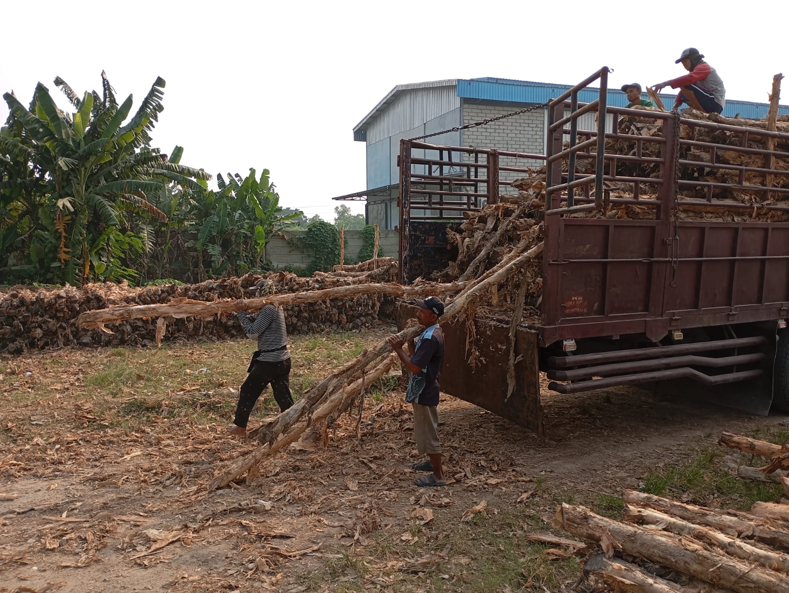 Bongkar muat kayu dolken gelam siap antar ke pelanggan di Magelang — foto 1