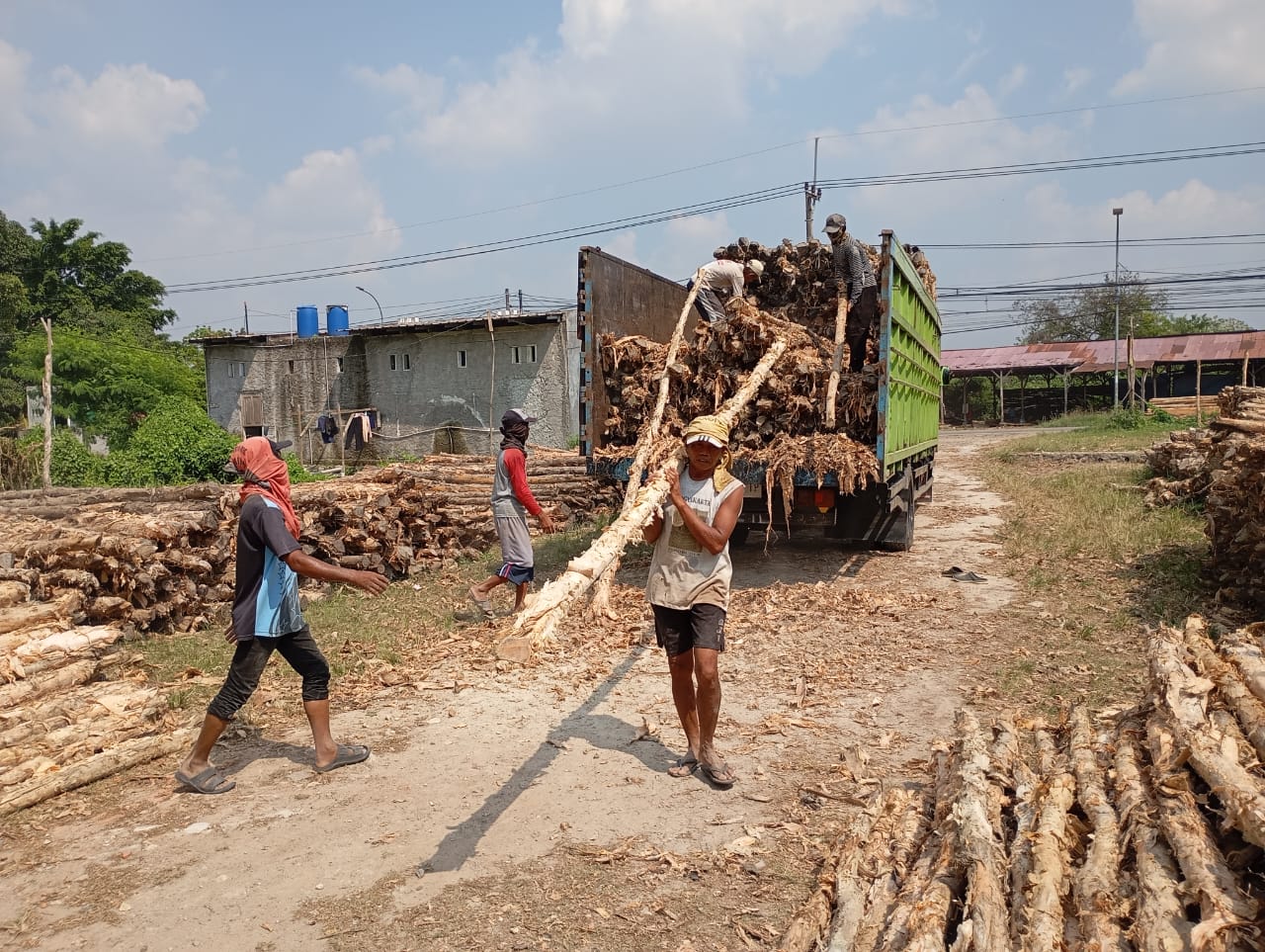 Bongkar muat kayu dolken gelam siap antar ke pelanggan di Makassar — foto 2