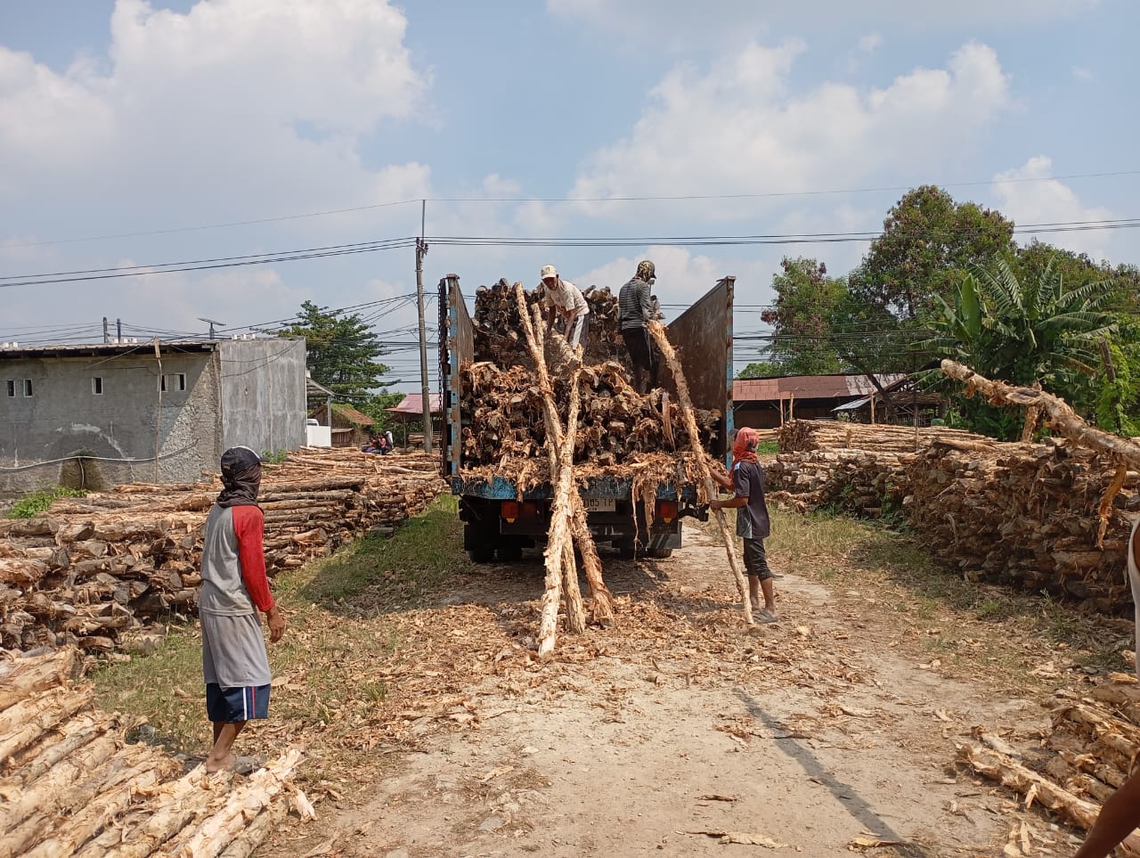 Bongkar muat kayu dolken gelam siap antar ke pelanggan di Palu — foto 2
