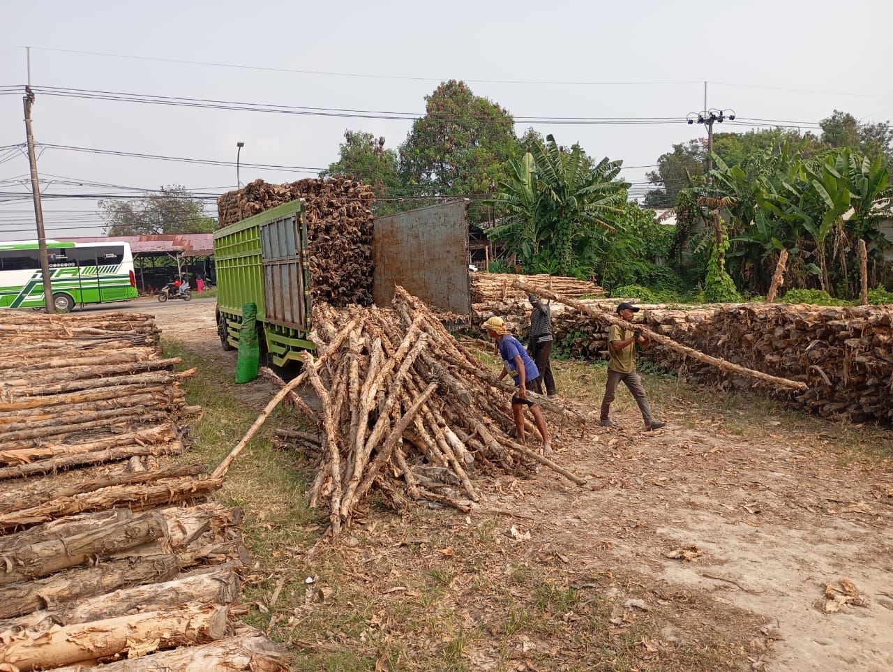 Bongkar muat kayu dolken gelam siap antar ke pelanggan di Pati — foto 2