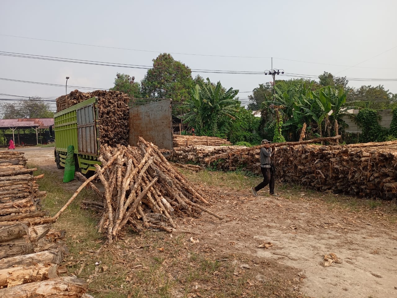 Bongkar muat kayu dolken gelam siap antar ke pelanggan di Petir — foto 1