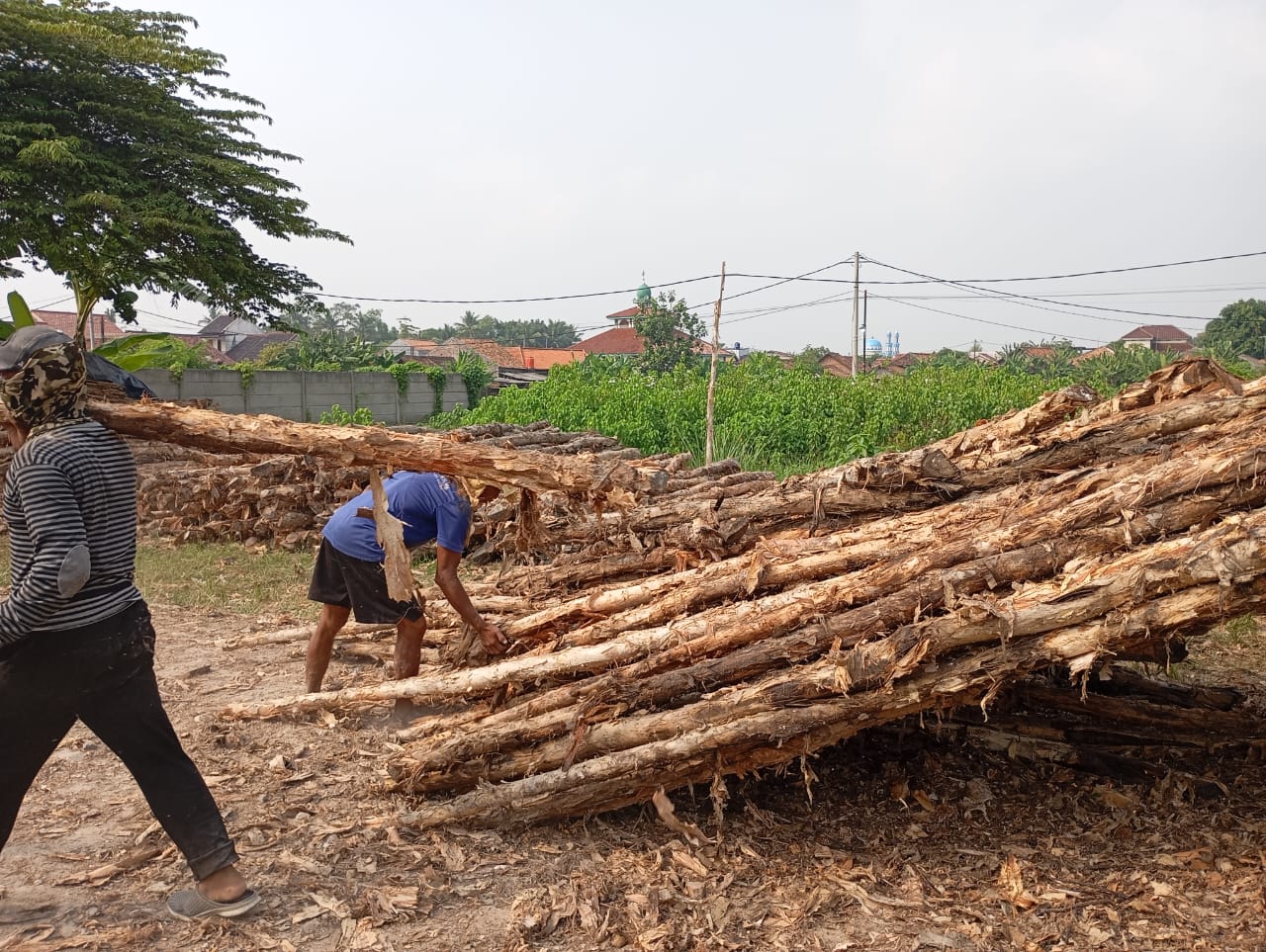 Bongkar muat kayu dolken gelam siap antar ke pelanggan di Poso — foto 1