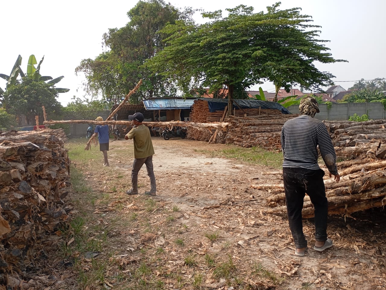 Bongkar muat kayu dolken gelam siap antar ke pelanggan di Purwakarta — foto 1