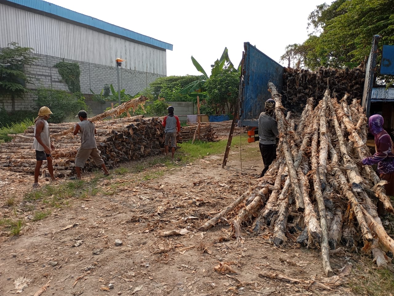 Bongkar muat kayu dolken gelam siap antar ke pelanggan di Raha — foto 1