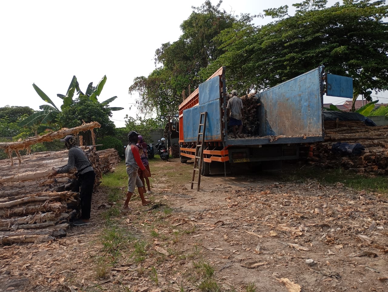 Bongkar muat kayu dolken gelam siap antar ke pelanggan di Raha — foto 2