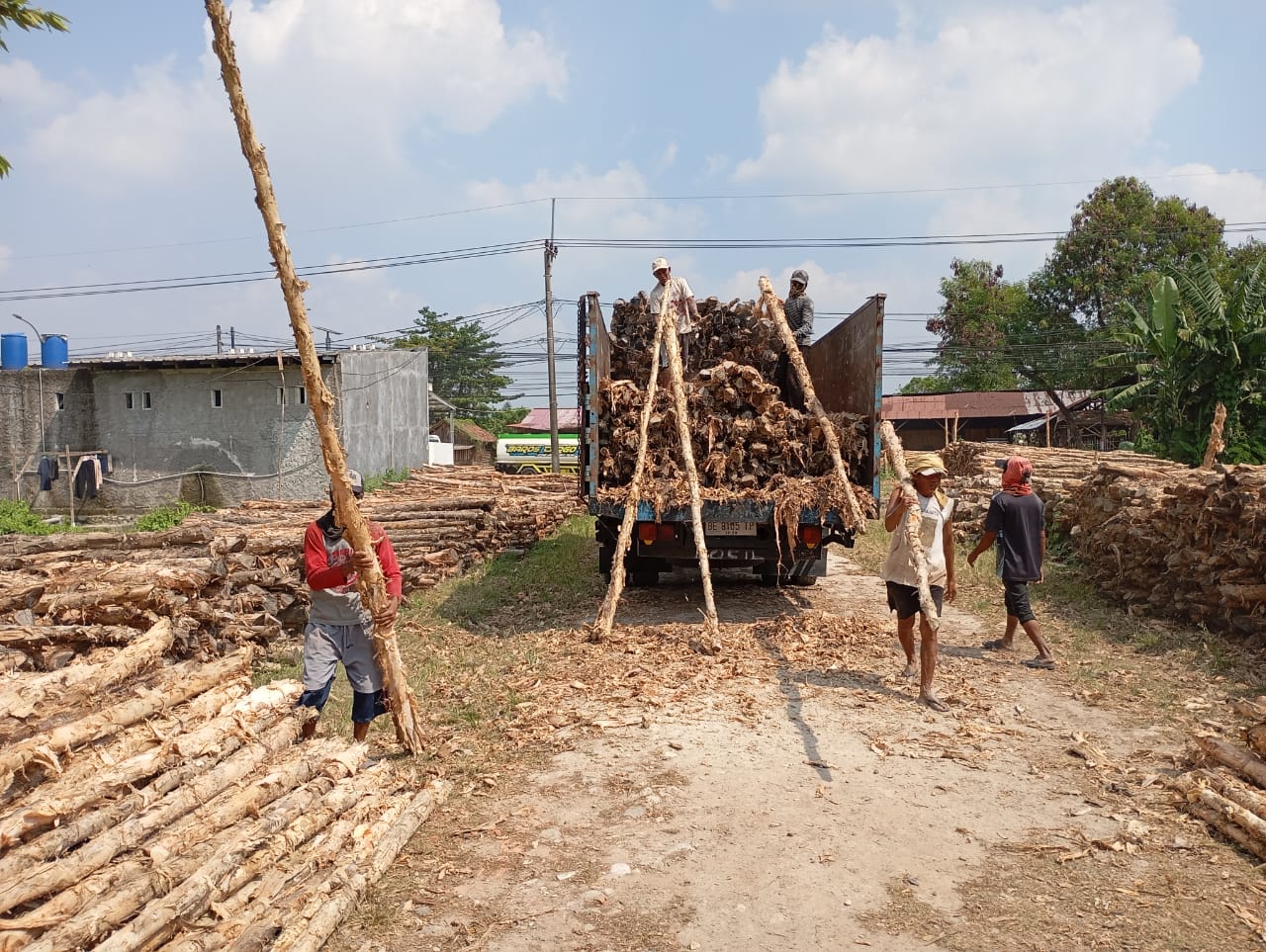 Bongkar muat kayu dolken gelam siap antar ke pelanggan di Rembang — foto 2