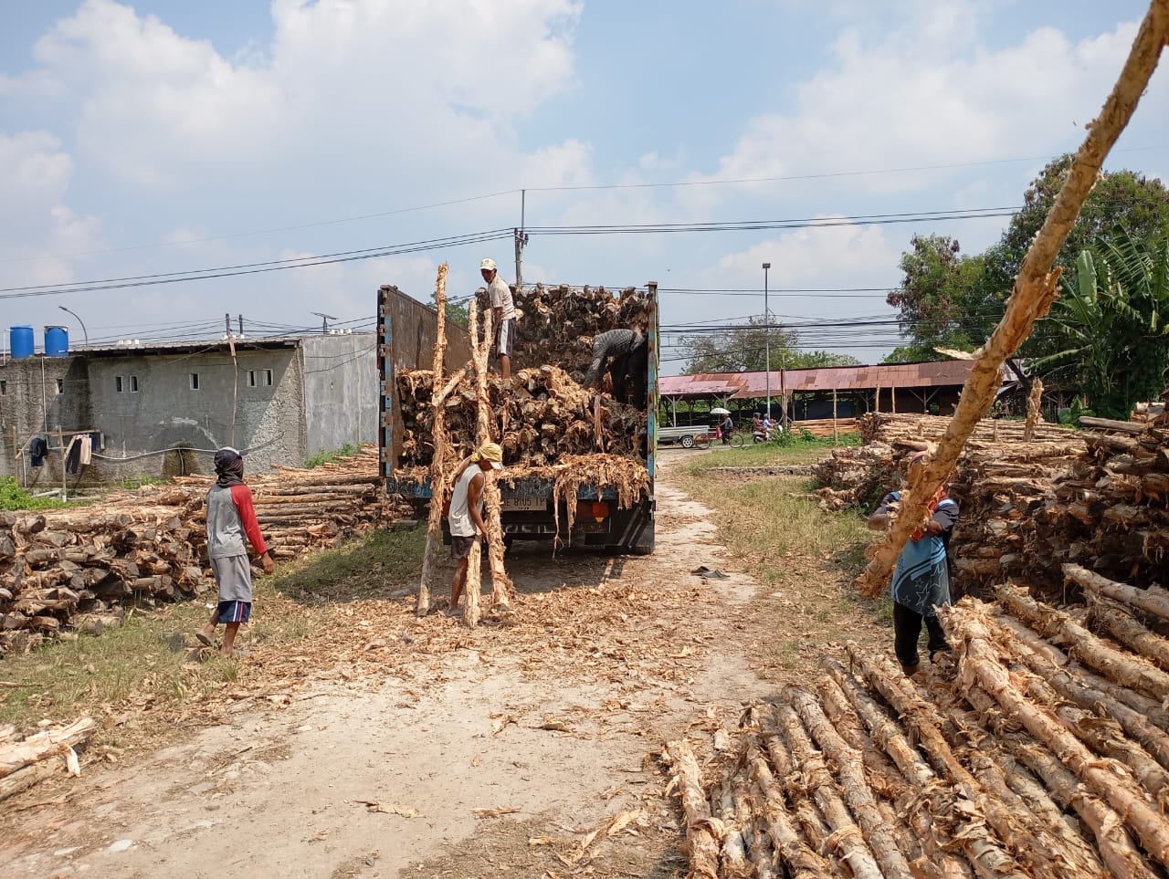 Bongkar muat kayu dolken gelam siap antar ke pelanggan di Salatiga — foto 1