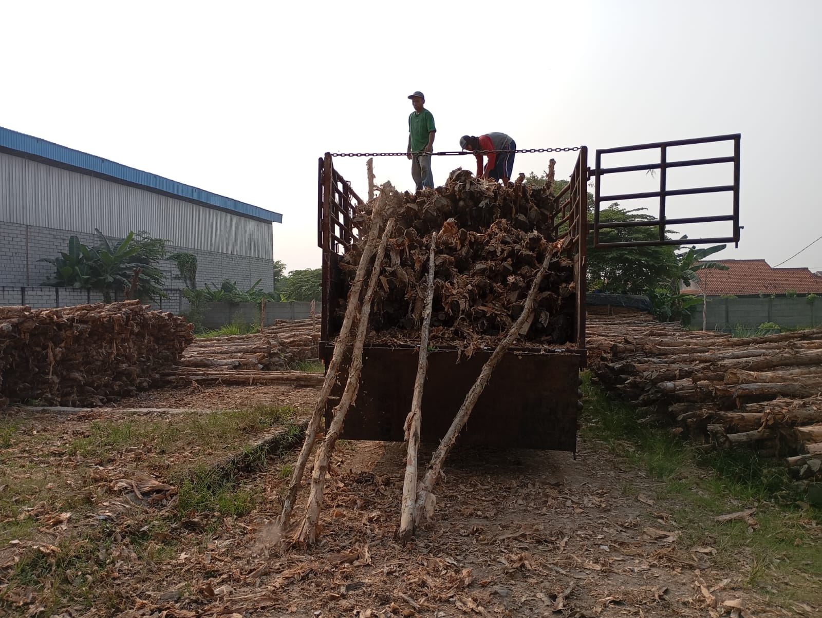Bongkar muat kayu dolken gelam siap antar ke pelanggan di Semarang — foto 2