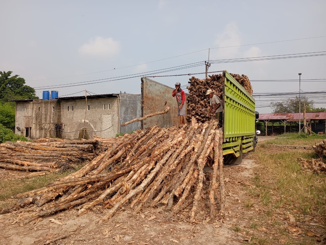 Bongkar muat kayu dolken gelam siap antar ke pelanggan di Serang — foto 2