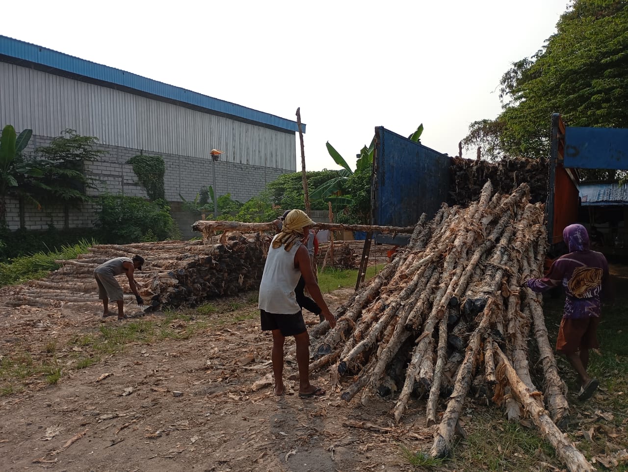 Bongkar muat kayu dolken gelam siap antar ke pelanggan di Sragen — foto 1