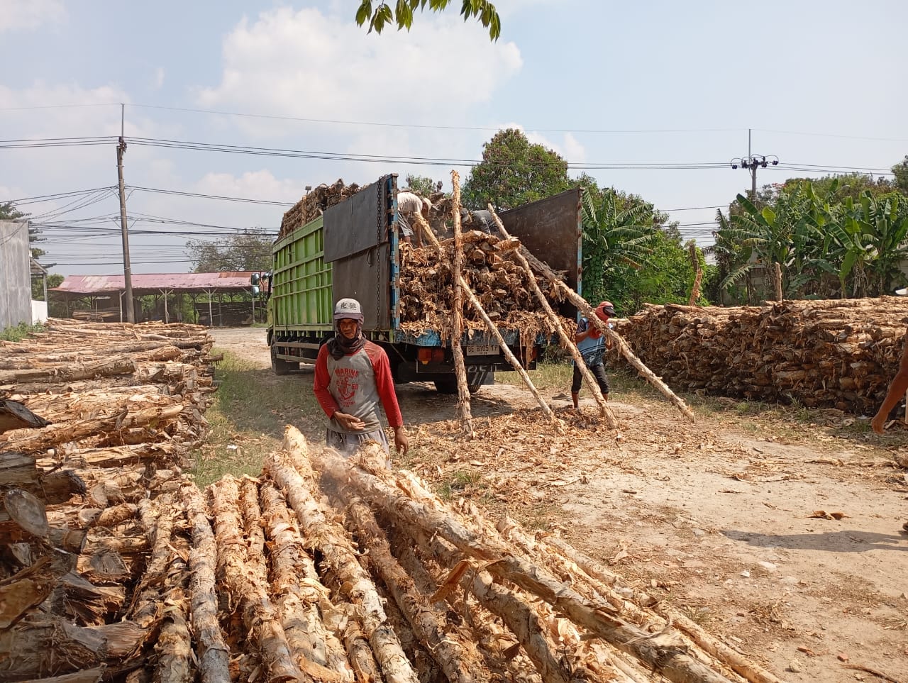 Bongkar muat kayu dolken gelam siap antar ke pelanggan di Subang — foto 1