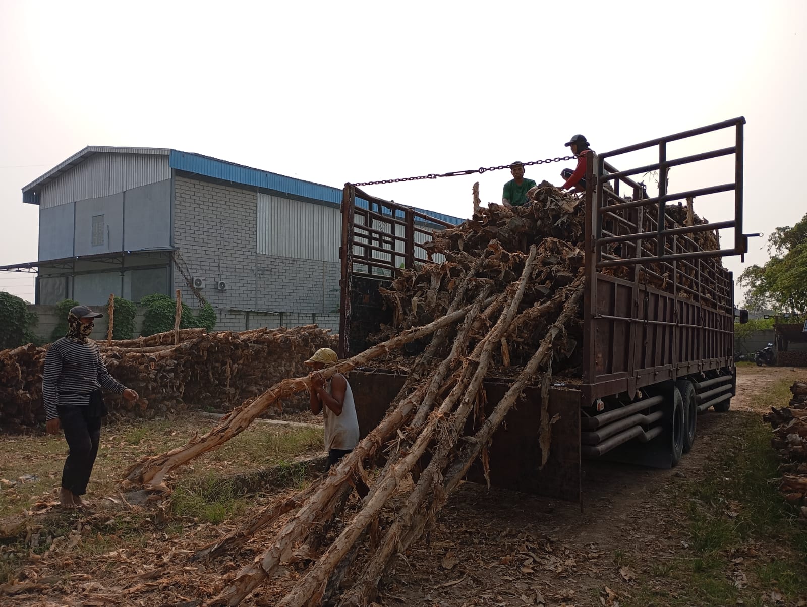 Bongkar muat kayu dolken gelam siap antar ke pelanggan di Subang — foto 2