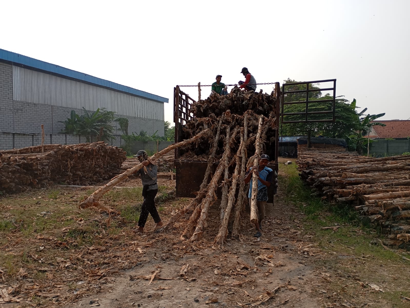 Bongkar muat kayu dolken gelam siap antar ke pelanggan di Sukabumi — foto 1