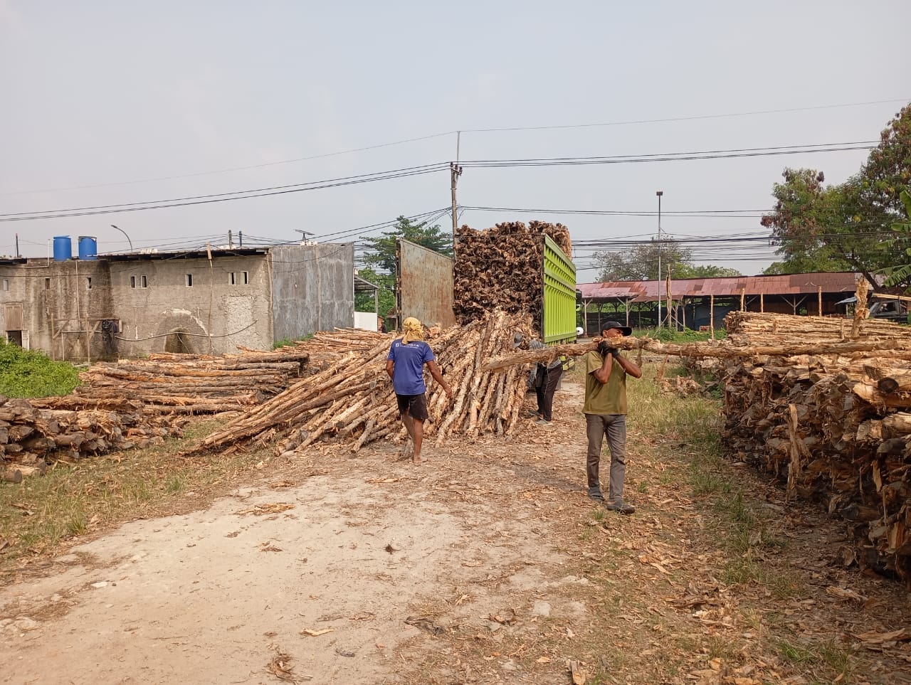 Bongkar muat kayu dolken gelam siap antar ke pelanggan di Tegal — foto 2