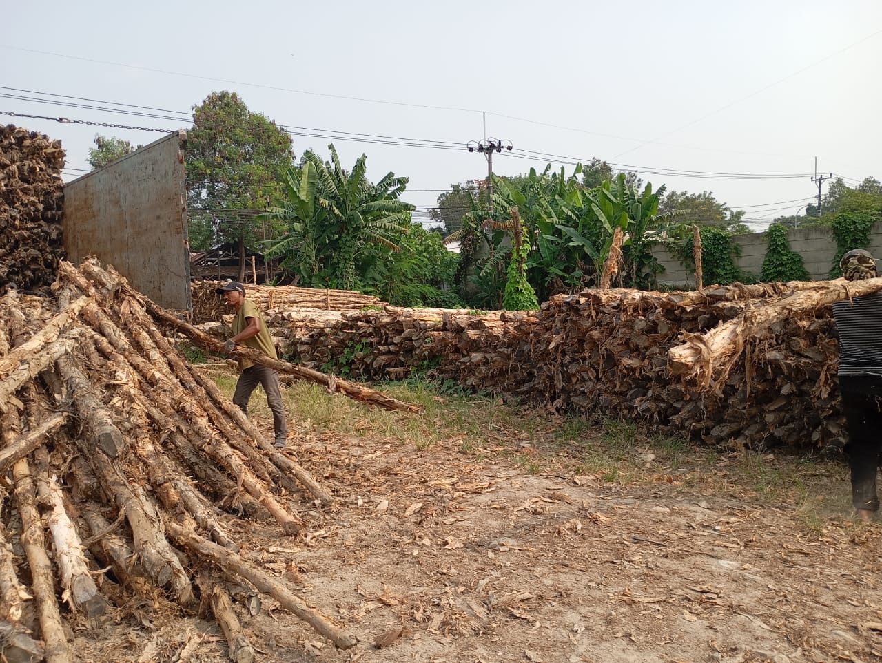 Bongkar muat kayu dolken gelam siap antar ke pelanggan di Ungaran — foto 2